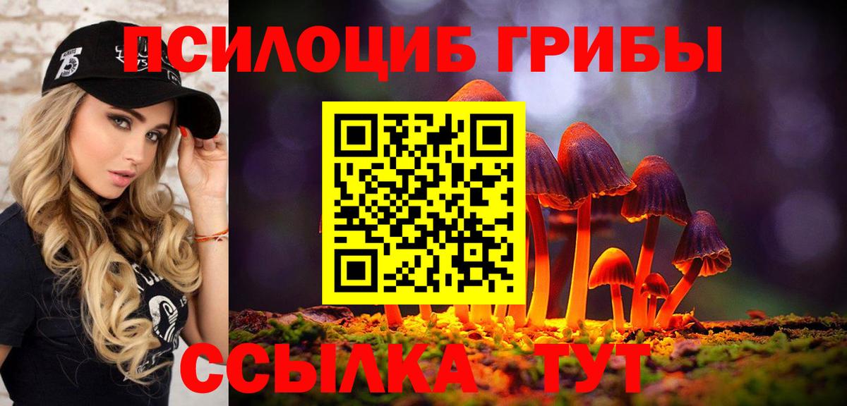Галлюциногенные грибы GOLDEN TEACHER Ижевск